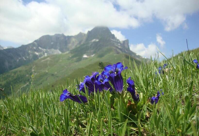 Bed & Breakfast Barba Bertu