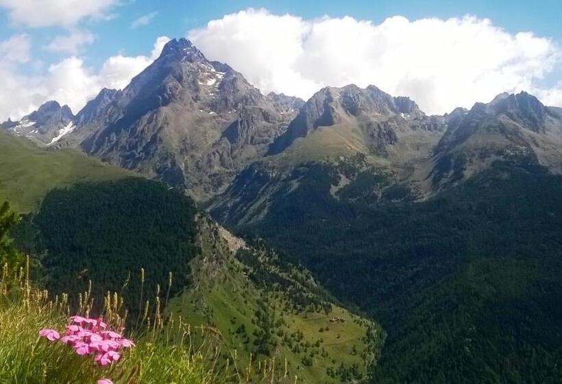 Bed & Breakfast Barba Bertu