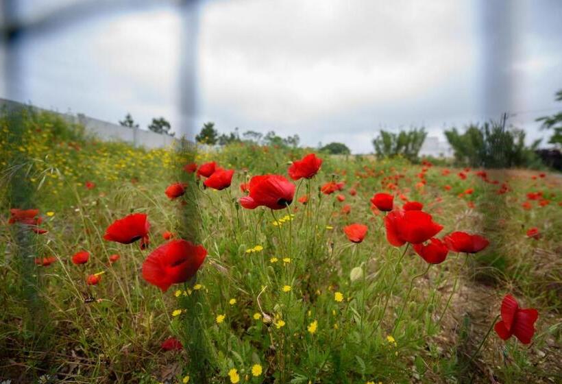 Greenside Of Sea Hostel