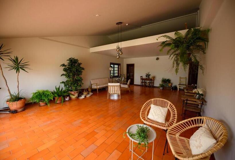 Greenside Of Sea Hostel