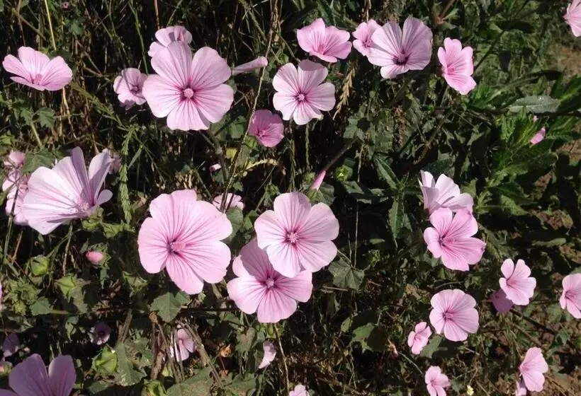 Greenside Of Sea Hostel