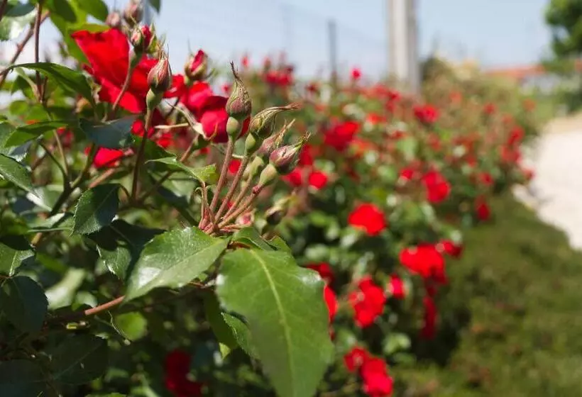 ホテル Agriturismo Sarmore