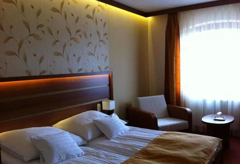 Hotelli Aranybánya