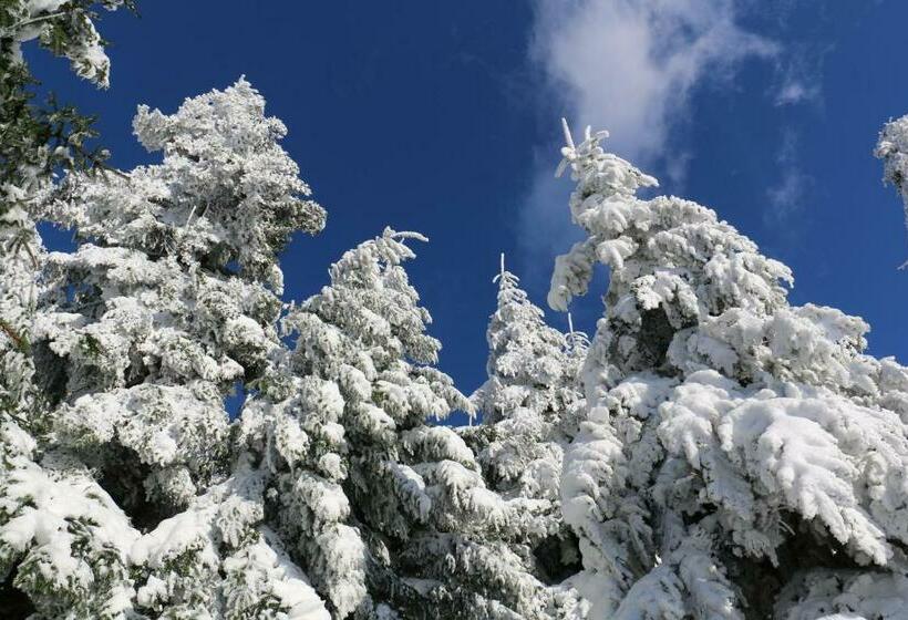 ホテル Le Relais Du Vermont