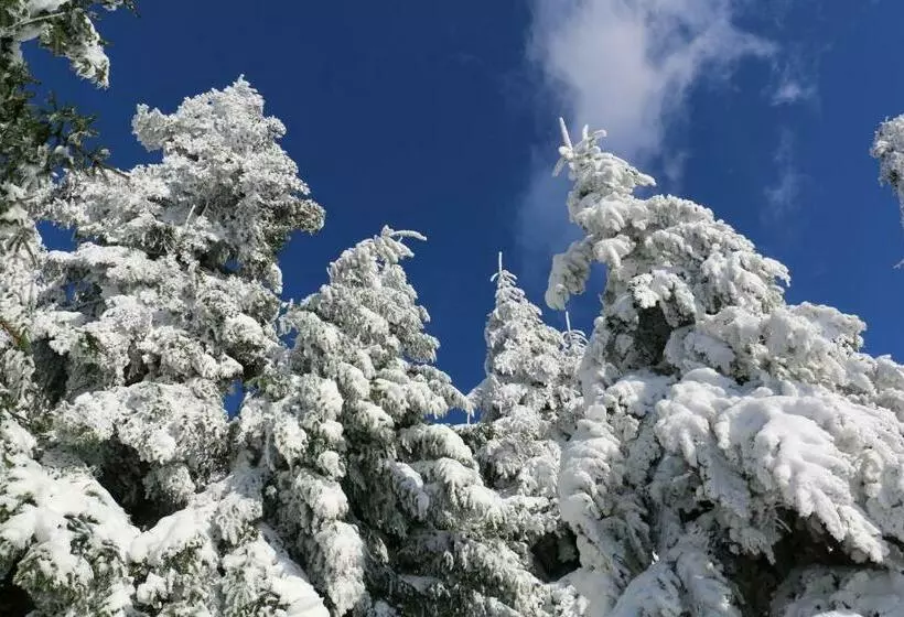 ホテル Le Relais Du Vermont