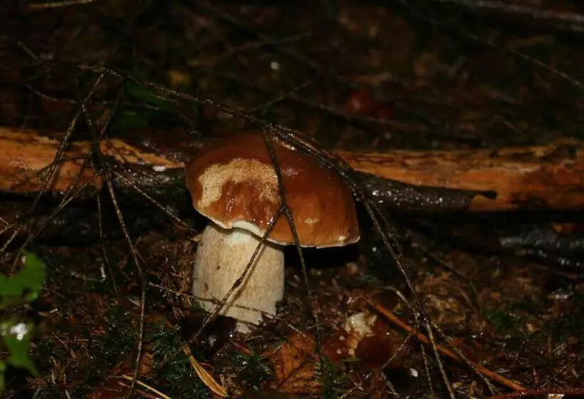 ホテル Le Relais Du Vermont