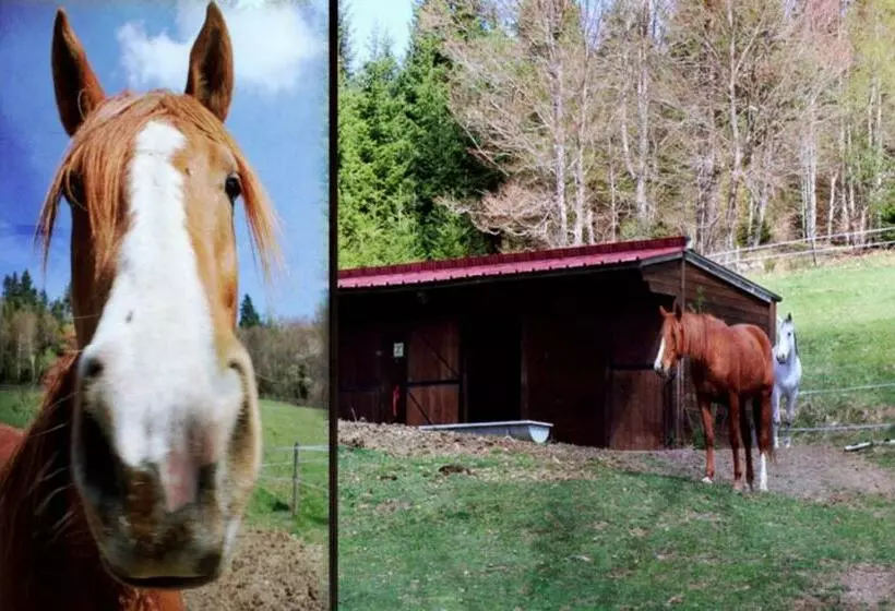 ホテル Le Relais Du Vermont