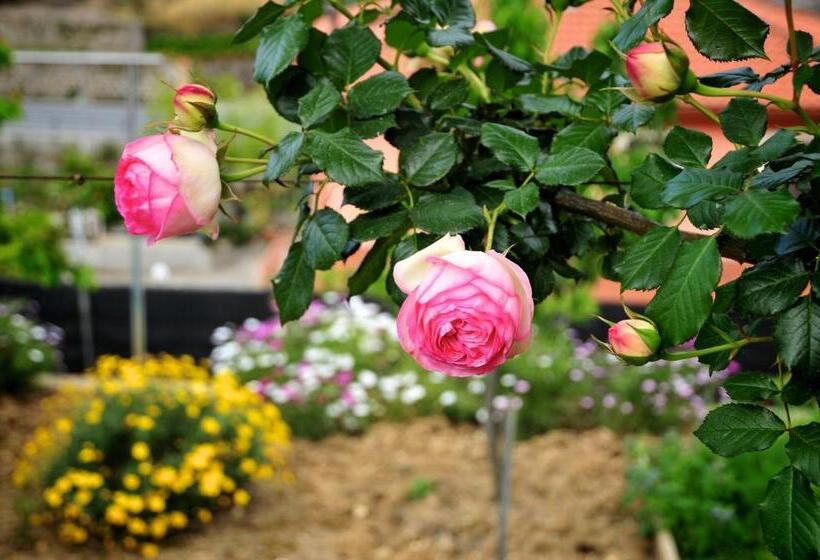 בית מלון כפרי Le Rose