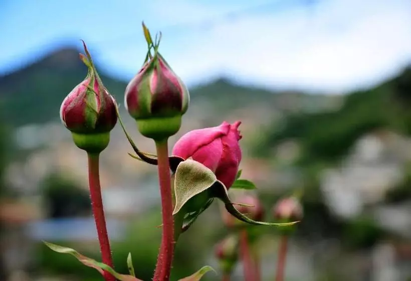 ホテル Le Rose