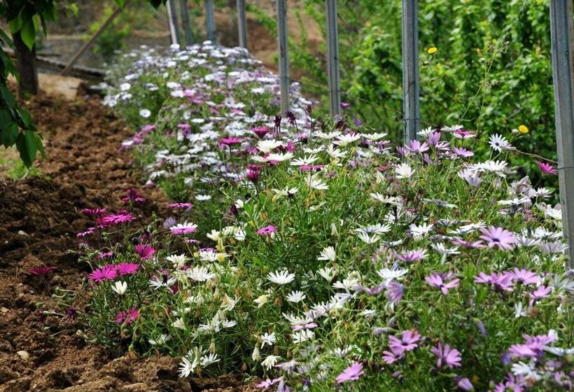 בית מלון כפרי Le Rose