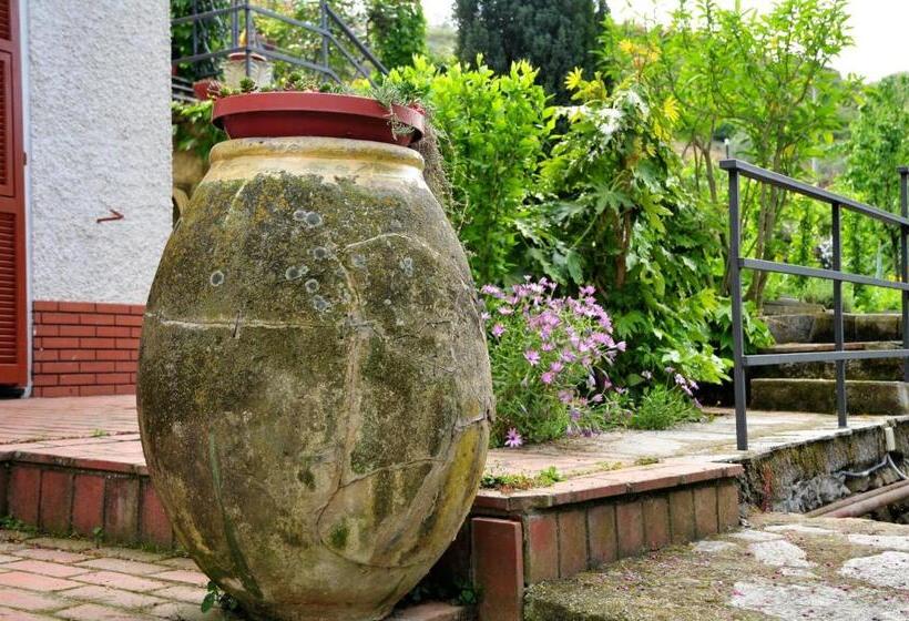 בית מלון כפרי Le Rose