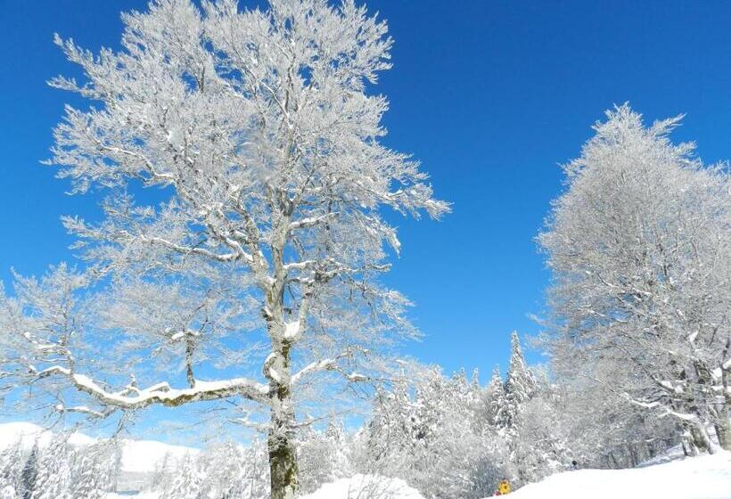 ペンション Chambre D Hôte Les Tourtereaux