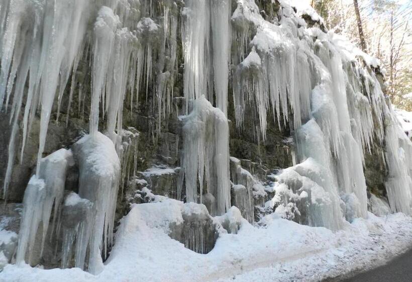ペンション Chambre D Hôte Les Tourtereaux