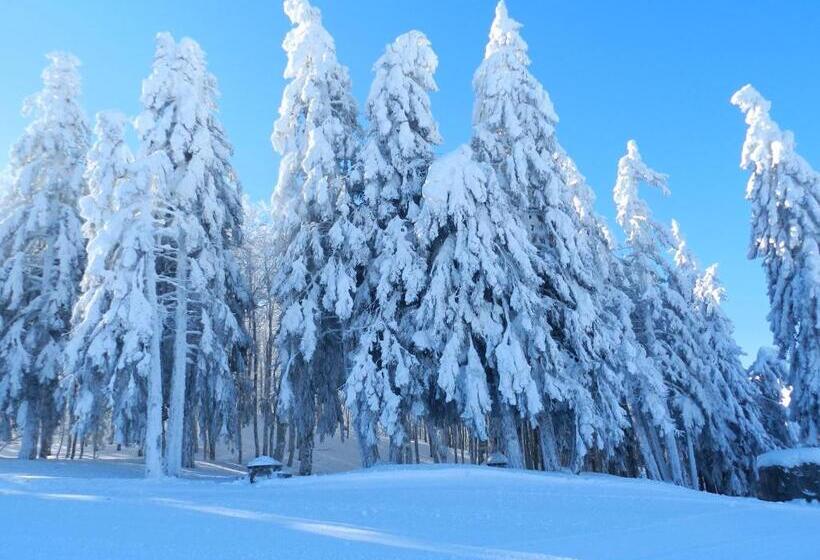 ペンション Chambre D Hôte Les Tourtereaux
