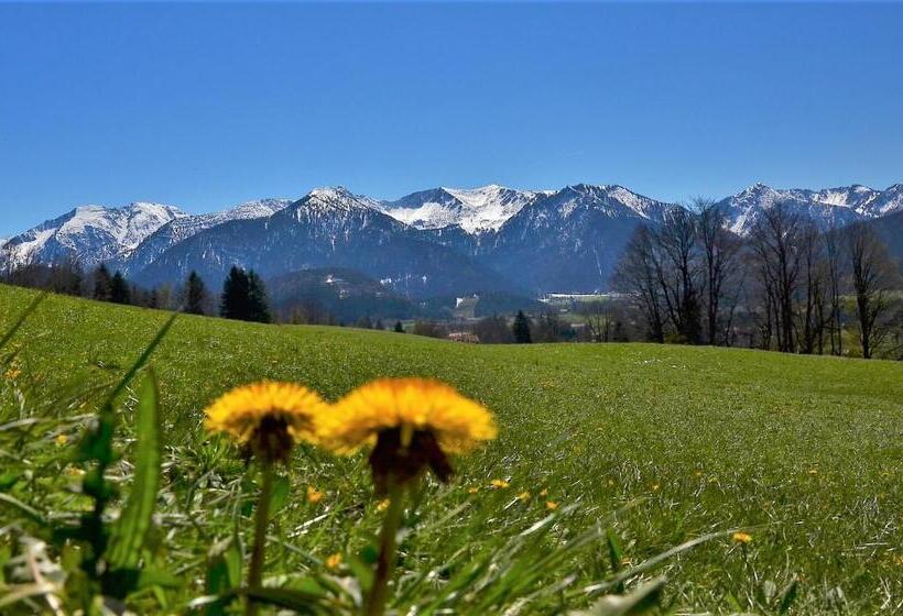 بنسيون Gästehaus Sonnenbichl