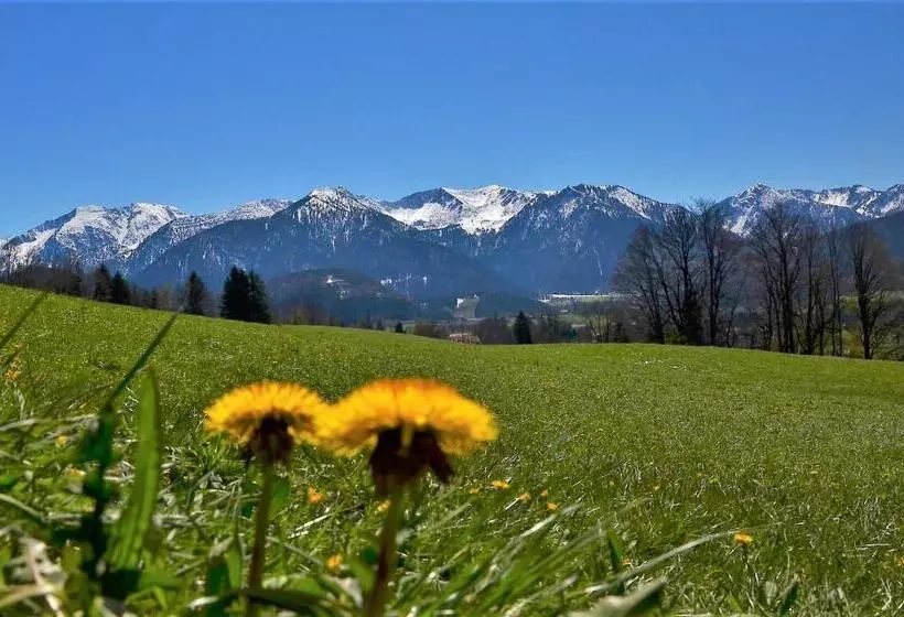 ペンション Gästehaus Sonnenbichl