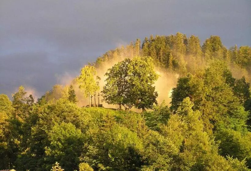 ペンション Gästehaus Sonnenbichl