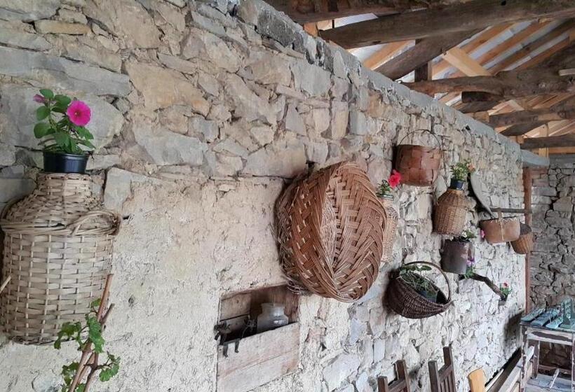 פנסיון Vedra Guest House