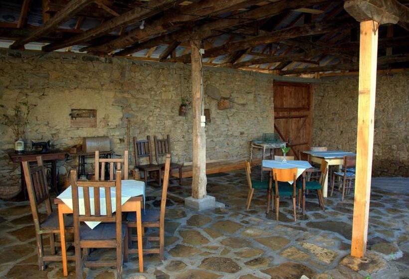 פנסיון Vedra Guest House