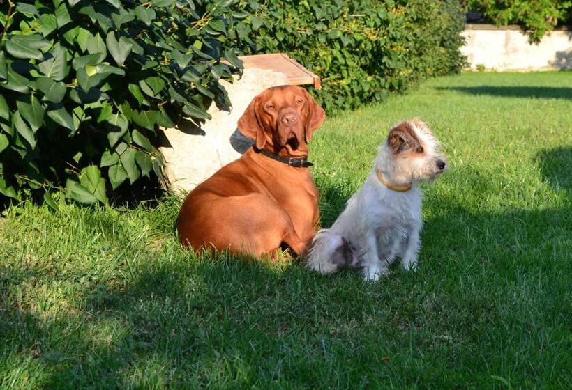 펜션 Turján Vendégház