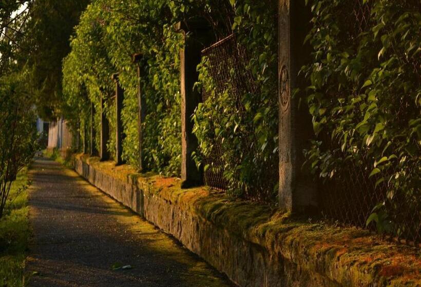 펜션 Turján Vendégház