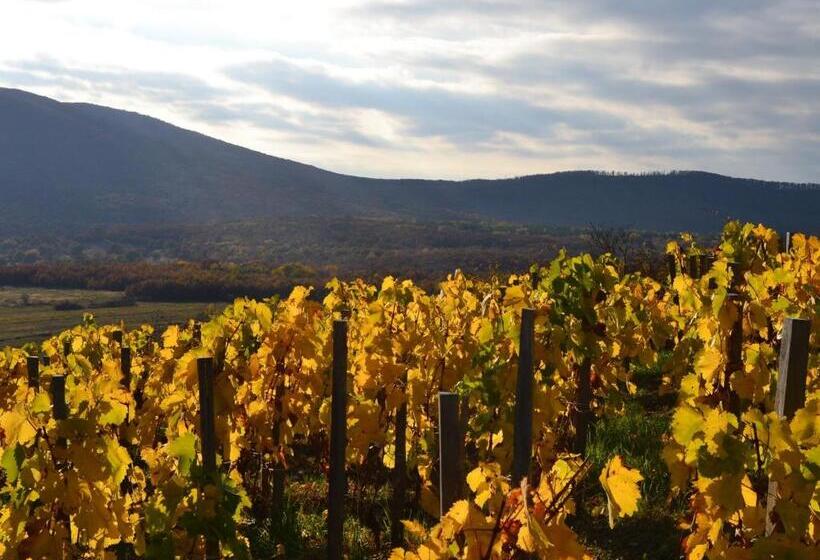 펜션 Turján Vendégház