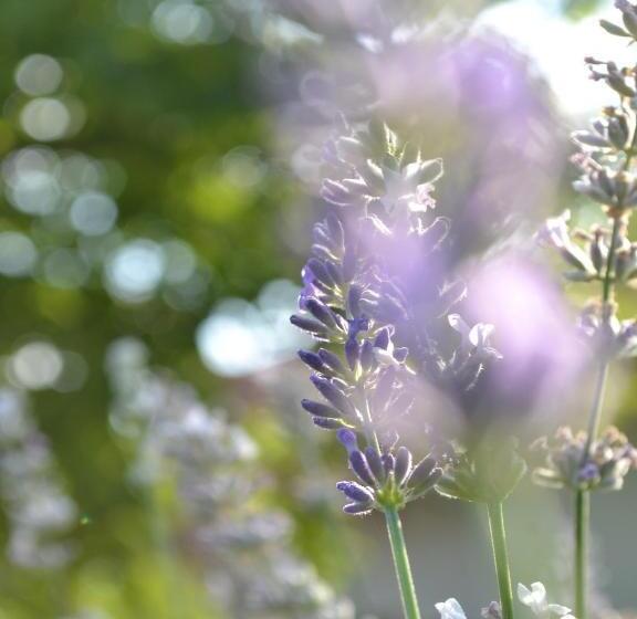 펜션 Turján Vendégház