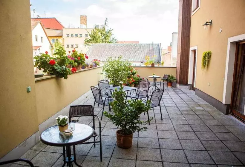 Majatalo Penzion Černej Pták