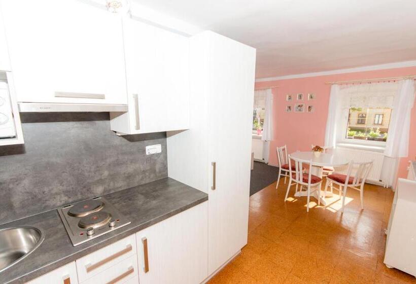 膳宿费 Penzion U Pešků