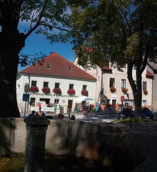 ペンション Penzion U Pešků