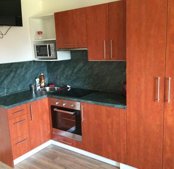 膳宿费 Penzion U Pešků