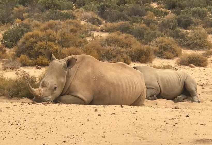 Taj Hotelapart, Taj Hotel Cape Town