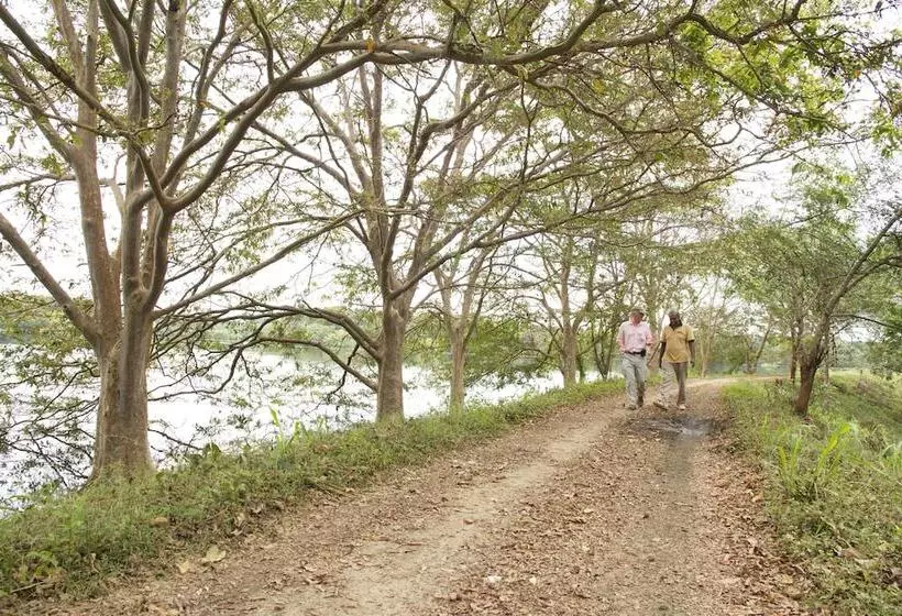 ホテル Explorer By Eco Team  Dambana