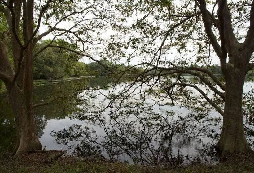 ホテル Explorer By Eco Team  Dambana