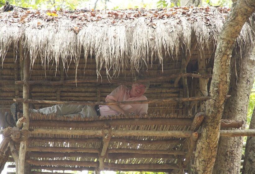 Hotel Explorer By Eco Team  Dambana