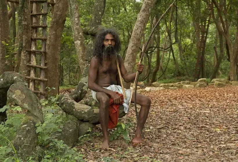 ホテル Explorer By Eco Team  Dambana