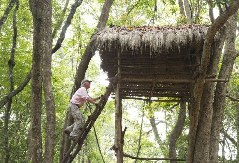 Hotel Explorer By Eco Team  Dambana