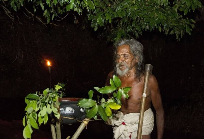 Hotel Explorer By Eco Team  Dambana