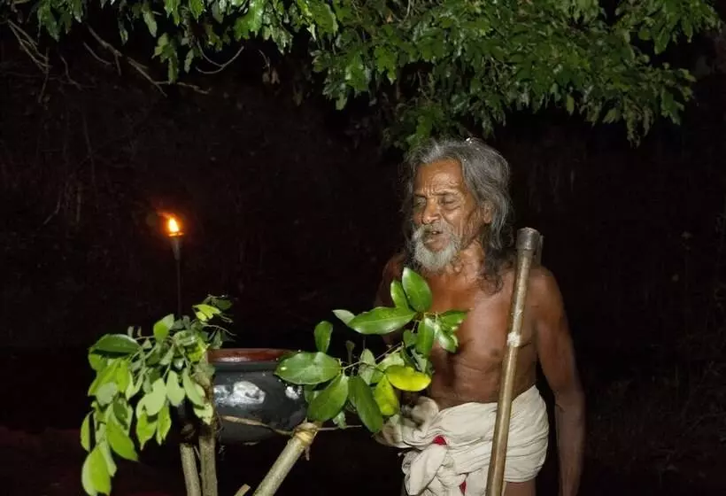 ホテル Explorer By Eco Team  Dambana