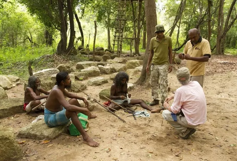 ホテル Explorer By Eco Team  Dambana