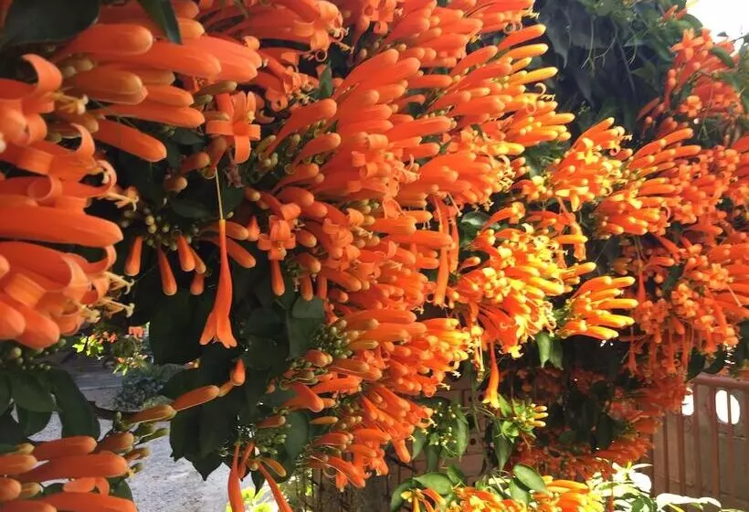 ホテル Mitkhoonyoum