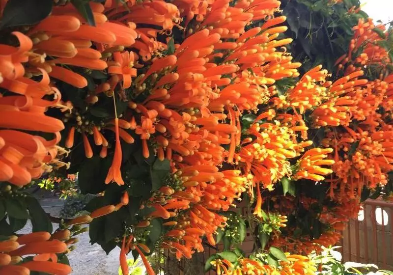 ホテル Mitkhoonyoum