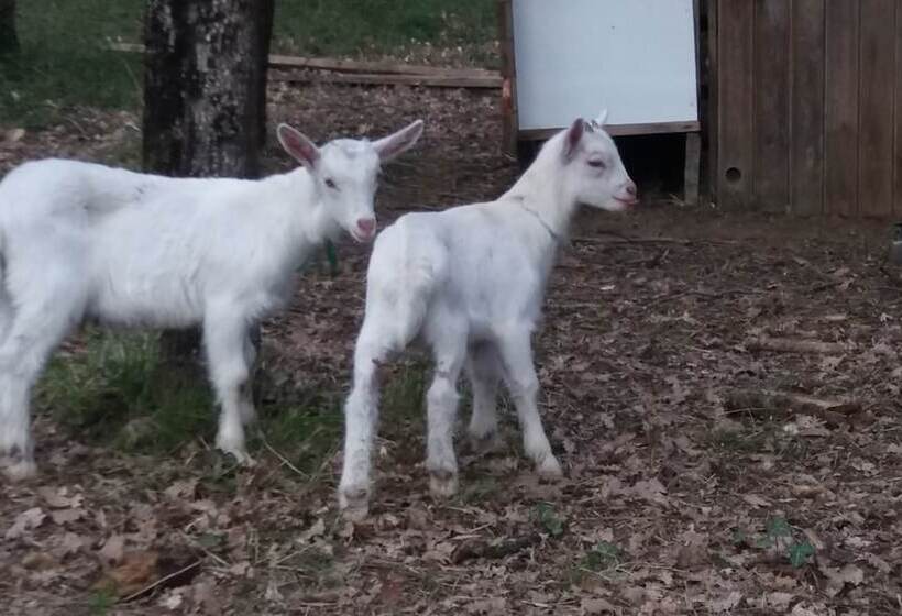 膳宿费 Le Merey   Chambre D Hotes