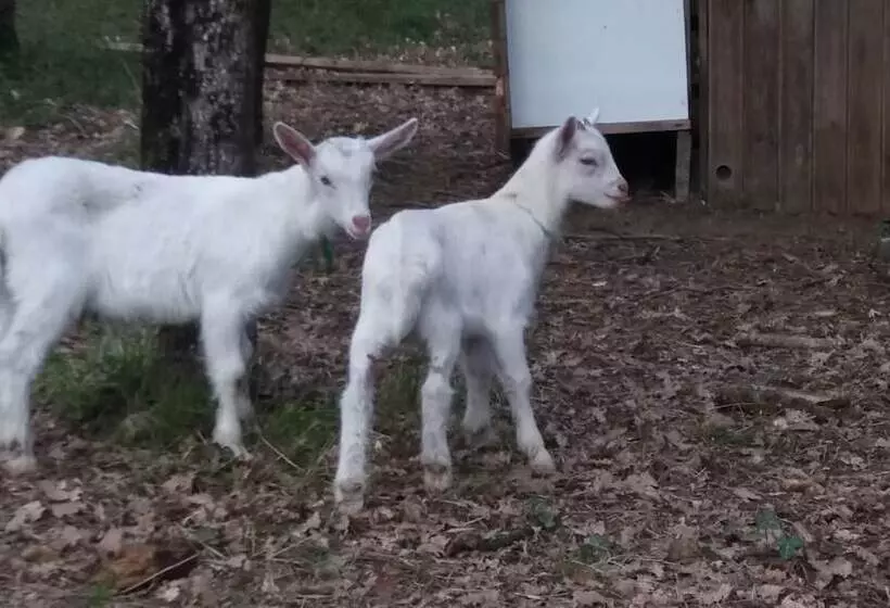 Majatalo Le Merey   Chambre D Hotes