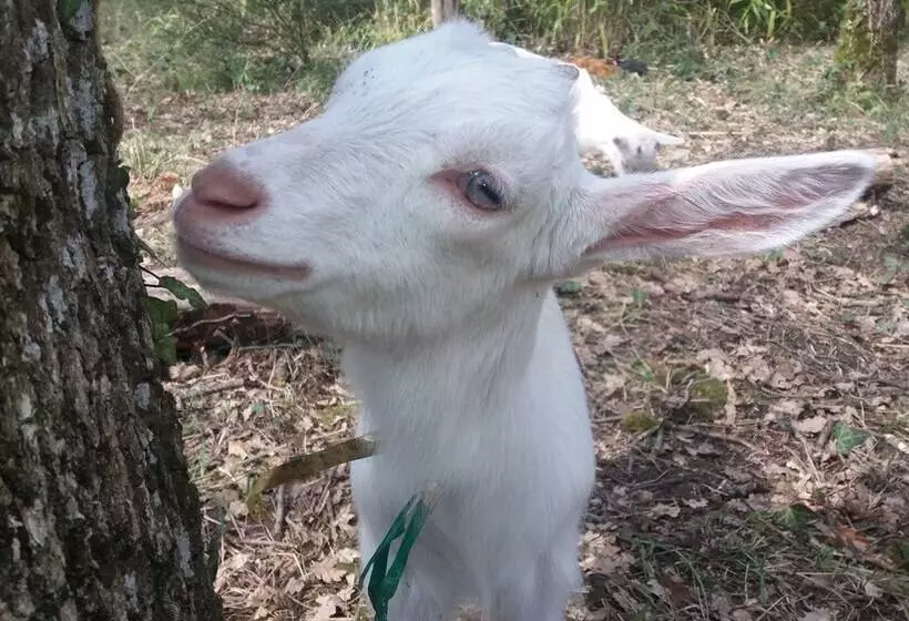 Majatalo Le Merey   Chambre D Hotes