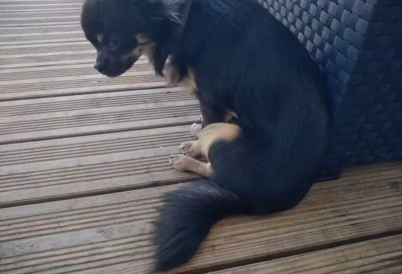 Majatalo Le Merey   Chambre D Hotes