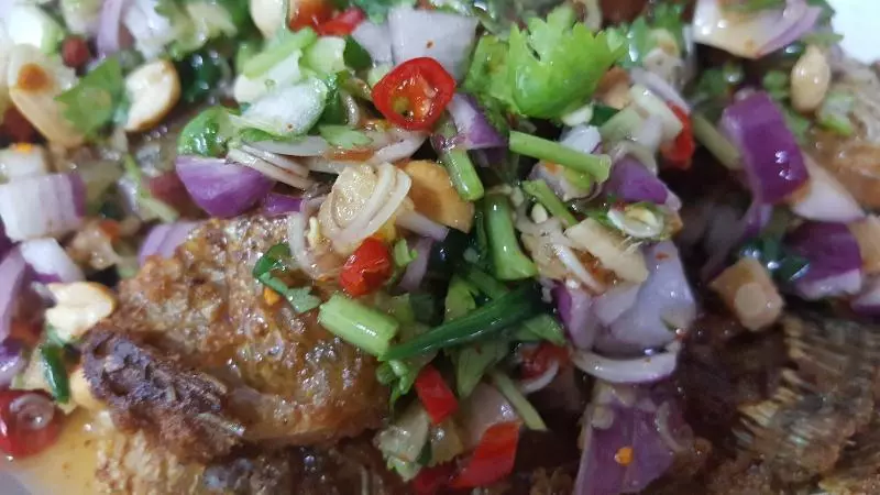 Majatalo Tonkong Guesthouse & Restaurant