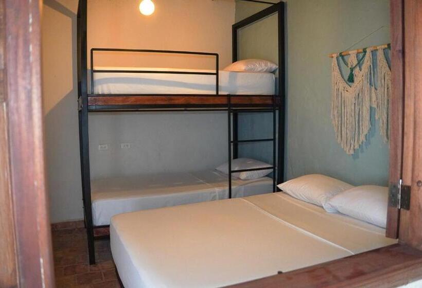 Traveler Hostel