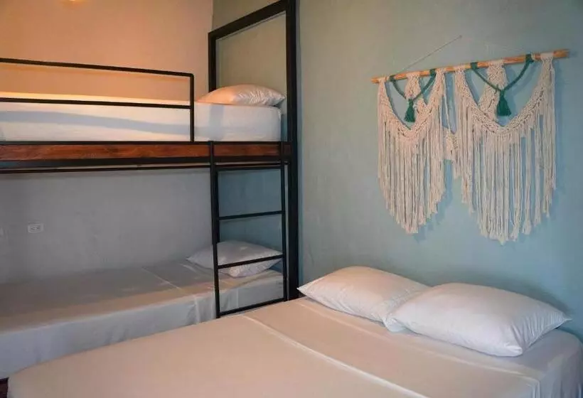 Traveler Hostel