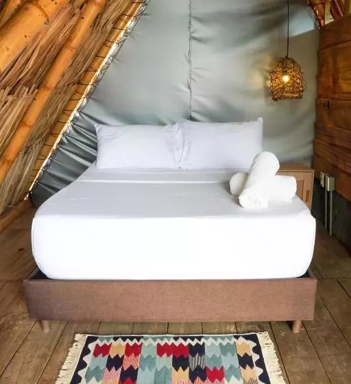 Traveler Hostel